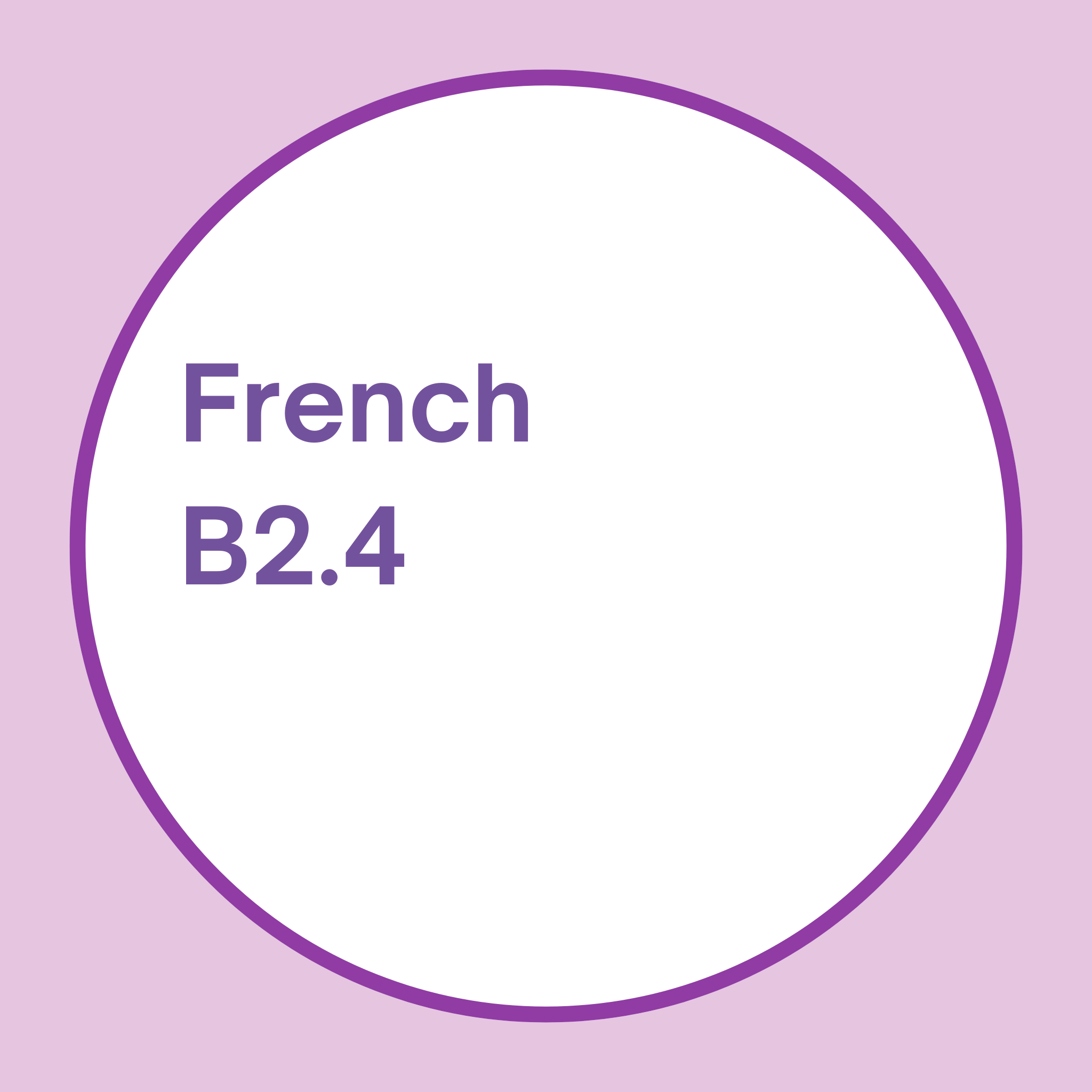 French B2.4 Course - ILB French Language Studies